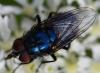 266760 – Photo : Jean-Michel GAREL – France (89)